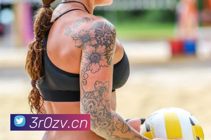 米兰体育网页服务体系